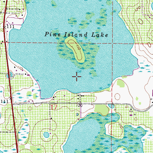 Topographic Map of Pine Island Lake, FL
