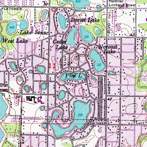 Topographic Map of Pine Lake, FL