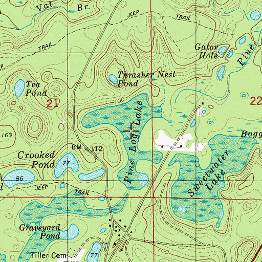 Topographic Map of Pine Log Lake, FL