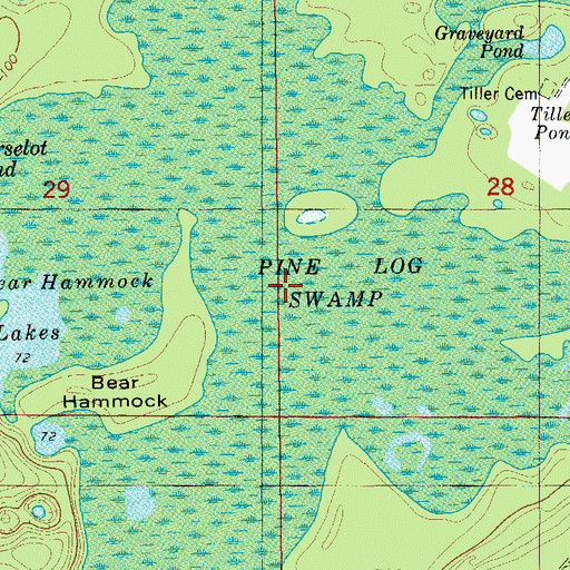 Topographic Map of Pine Log Swamp, FL