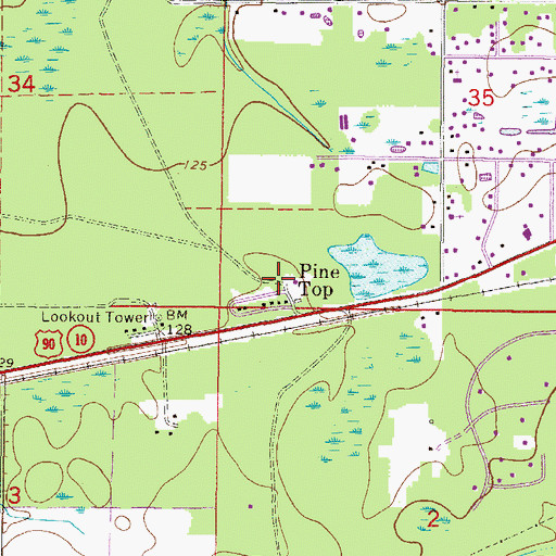 Topographic Map of Pine Top, FL