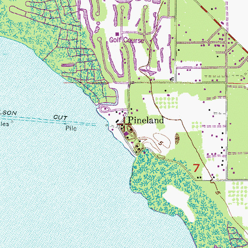Topographic Map of Pineland, FL