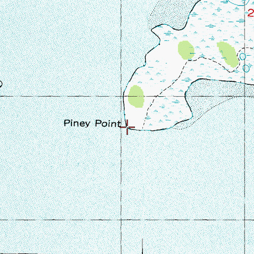 Topographic Map of Piney Point, FL