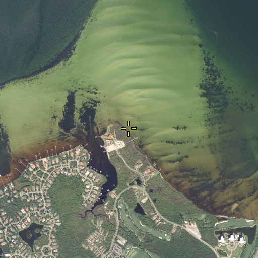 Aerial/Satellite Image of Piney Point, FL