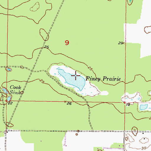 Topographic Map of Piney Prairie, FL