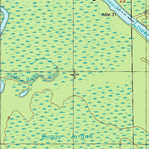 Topographic Map of Piney Reach Slough, FL