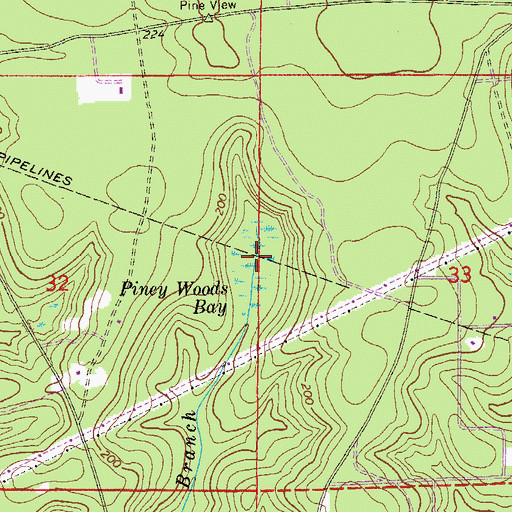 Topographic Map of Piney Woods Bay, FL