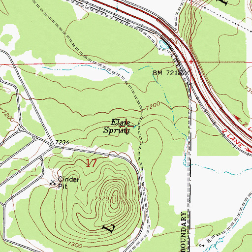 Topographic Map of Elsie Spring, AZ