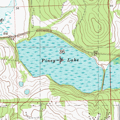 Topographic Map of Piney Z Lake, FL