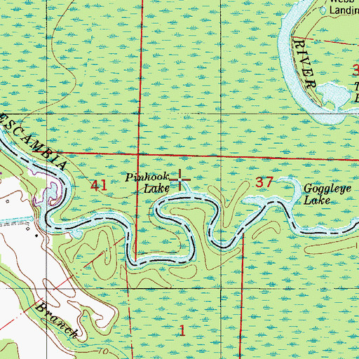 Topographic Map of Pinhook Lake, FL