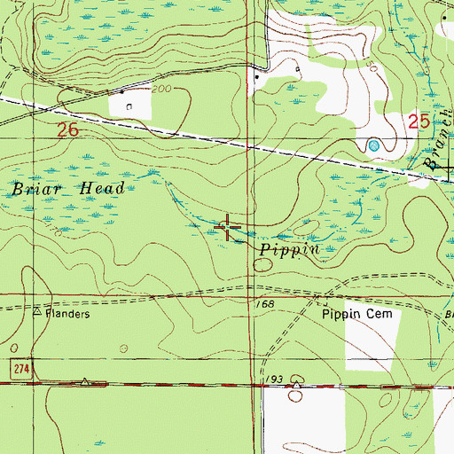 Topographic Map of Pippin Branch, FL