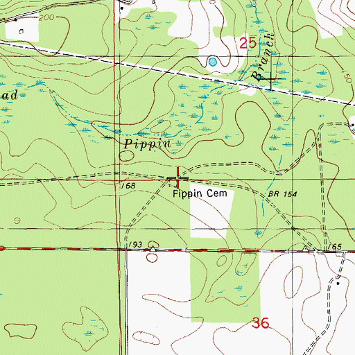 Topographic Map of Pippen Cemetery, FL