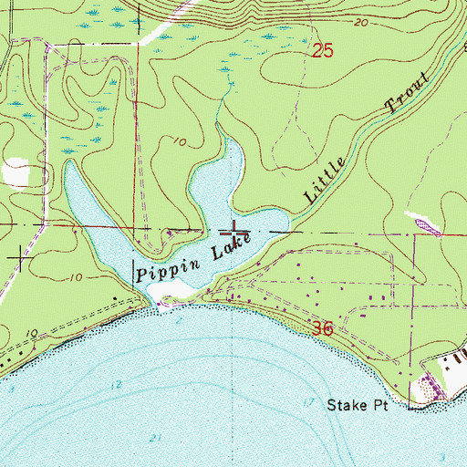Topographic Map of Pippin Lake, FL