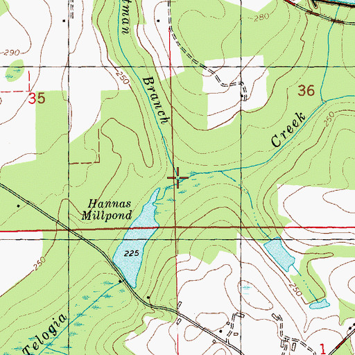 Topographic Map of Pitman Branch, FL