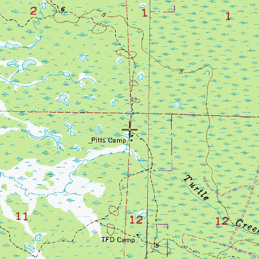 Topographic Map of Pitts Camp, FL