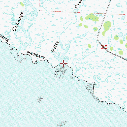 Topographic Map of Pitts Creek, FL