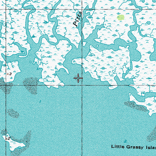 Topographic Map of Pitts Creek, FL