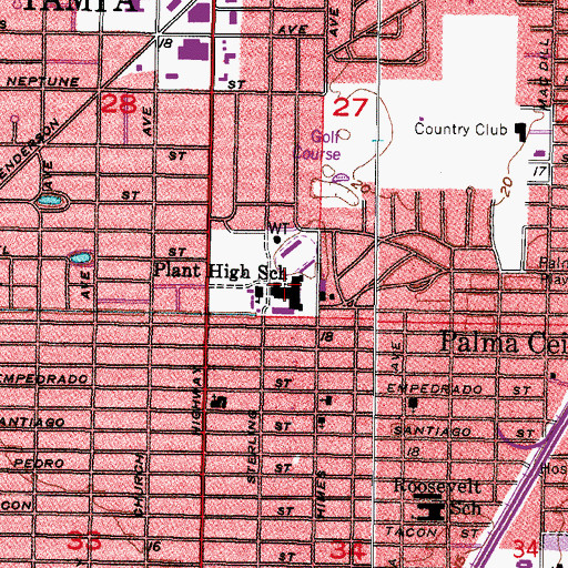 Topographic Map of Plant High School, FL