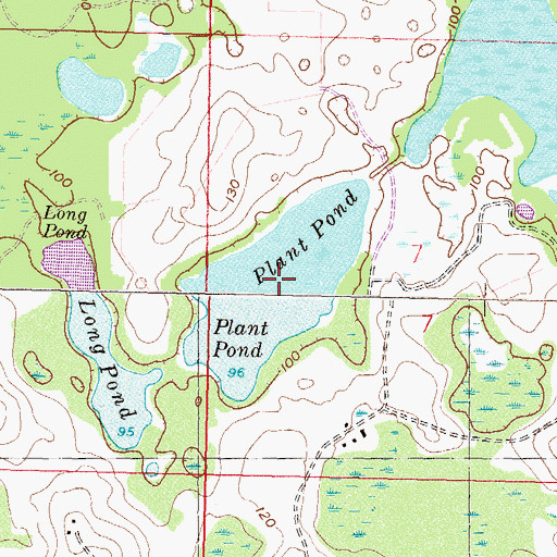 Topographic Map of Plant Pond, FL