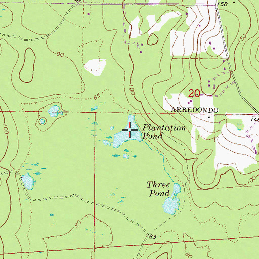 Topographic Map of Plantation Pond, FL