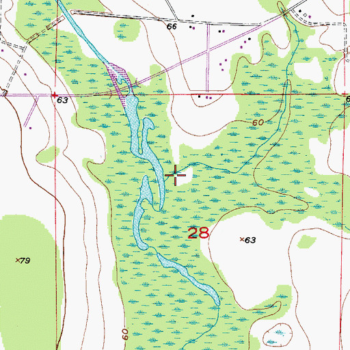 Topographic Map of Platt Branch, FL