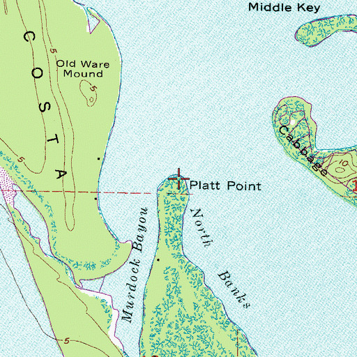 Topographic Map of Platt Point, FL