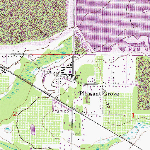 Topographic Map of Pleasant Grove, FL