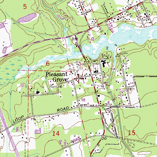 Topographic Map of Pleasant Grove, FL