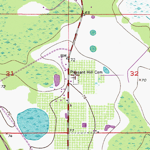 Topographic Map of Pleasant Hill Cemetery, FL