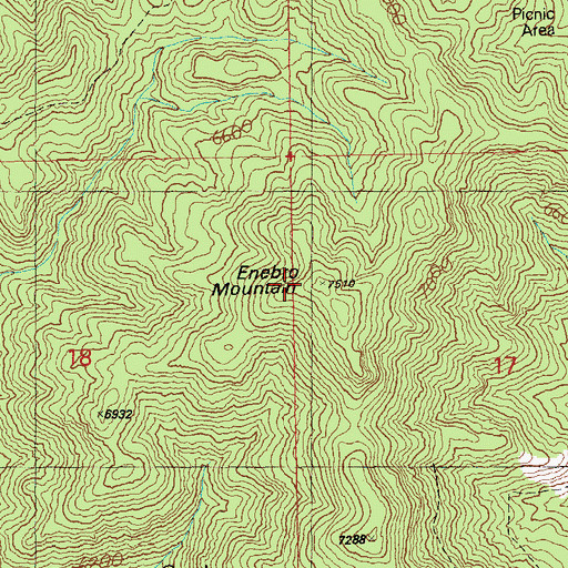 Topographic Map of Enebro Mountain, AZ