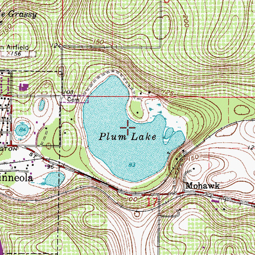 Topographic Map of Plum Lake, FL