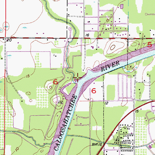Topographic Map of Pollywog Creek, FL