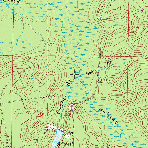 Topographic Map of Poplar Branch, FL