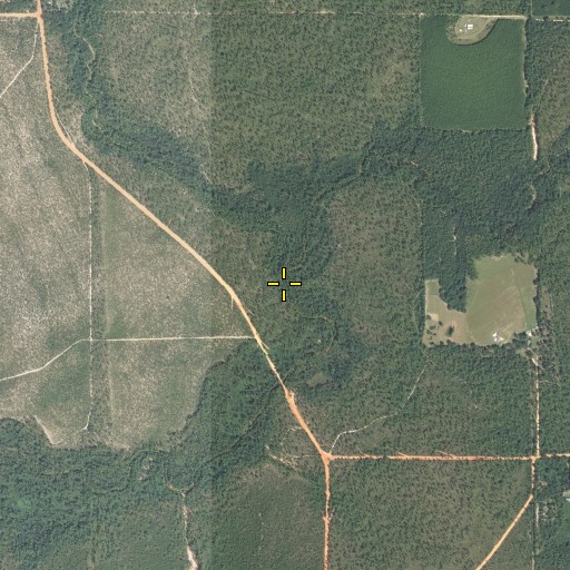 Aerial/Satellite Image of Poplar Head Branch, FL