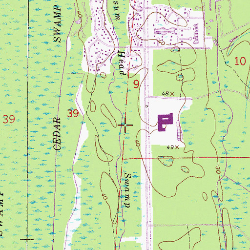 Topographic Map of Possum Head Swamp, FL