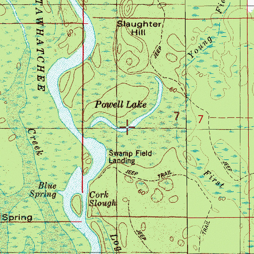 Topographic Map of Powell Lake, FL