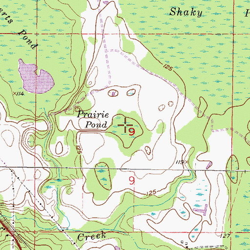 Topographic Map of Prairie Pond, FL