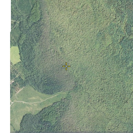 Aerial/Satellite Image of Pretty Branch, FL