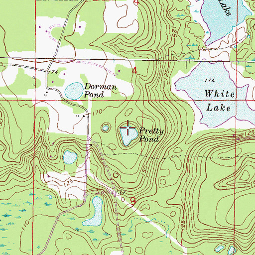 Topographic Map of Pretty Pond, FL