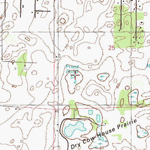 Topographic Map of Priest Pond, FL