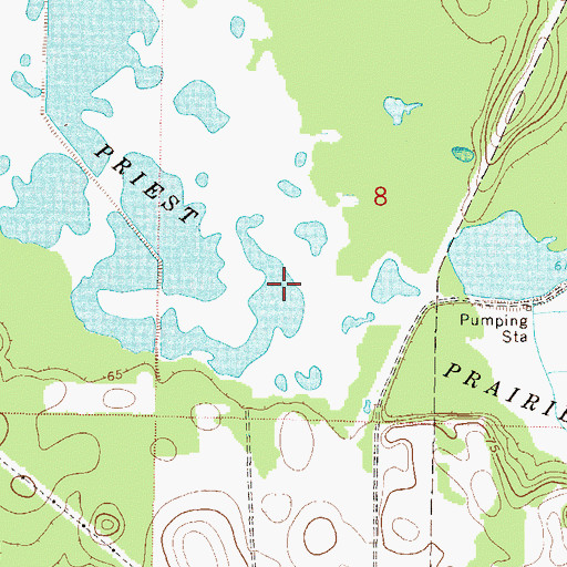 Topographic Map of Priest Prairie, FL