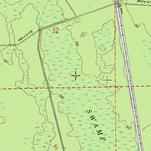 Topographic Map of Pringle Swamp, FL