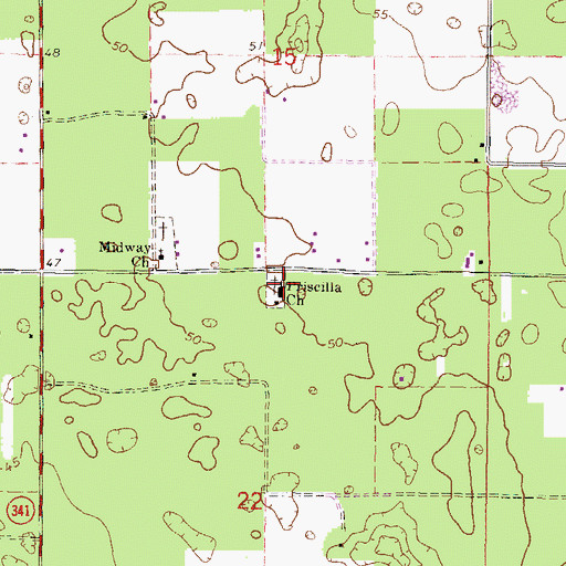 Topographic Map of Priscilla Church, FL