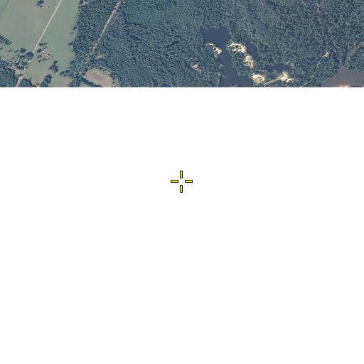 Aerial/Satellite Image of Pritchell Mill Branch, FL