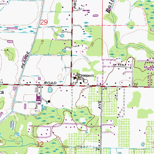 Topographic Map of Prospect School, FL