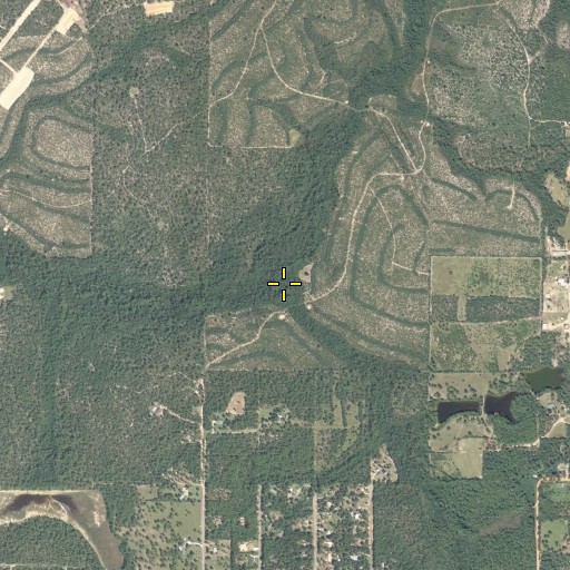 Aerial/Satellite Image of Pump Branch, FL
