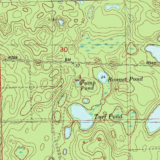 Topographic Map of Pump Pond, FL