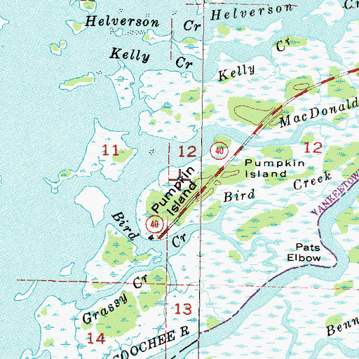Topographic Map of Pumpkin Island, FL