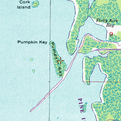 Topographic Map of Pumpkin Key, FL