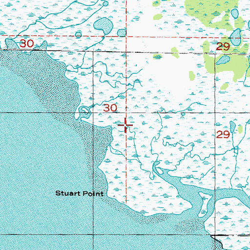 Topographic Map of Pumpkin Swamp, FL